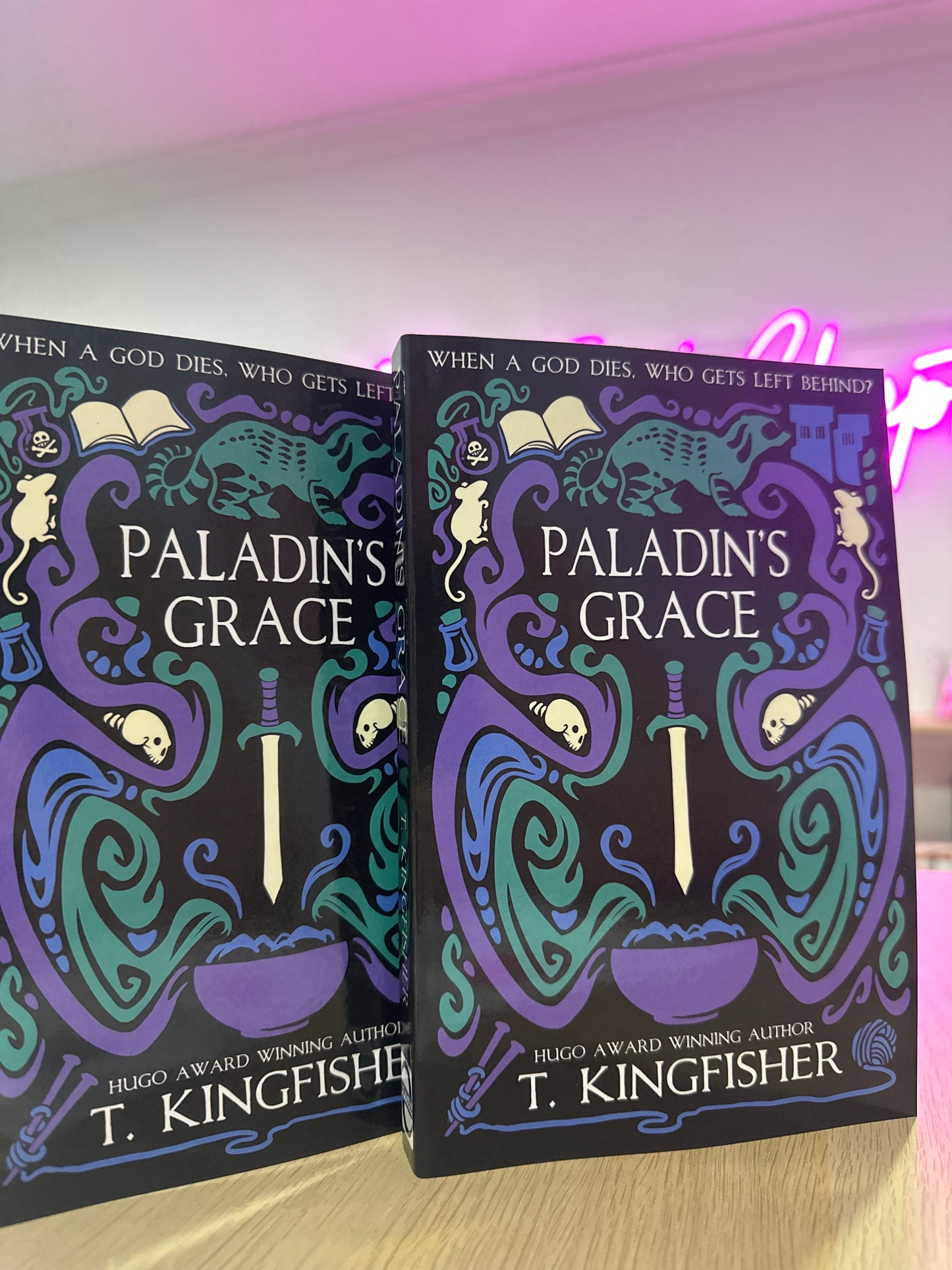 Paladin’s Grace by T. Kingfisher