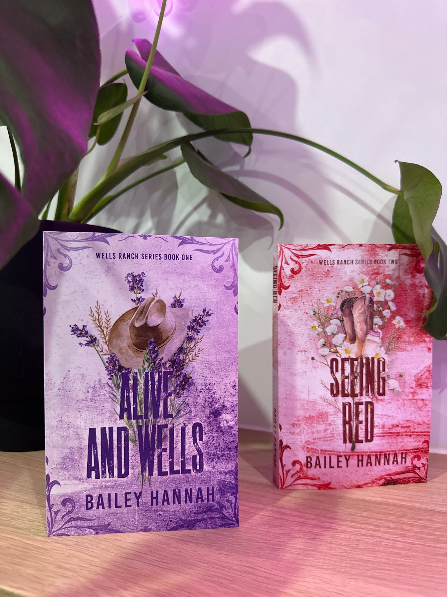 Wells Ranch series by Bailey Hannah