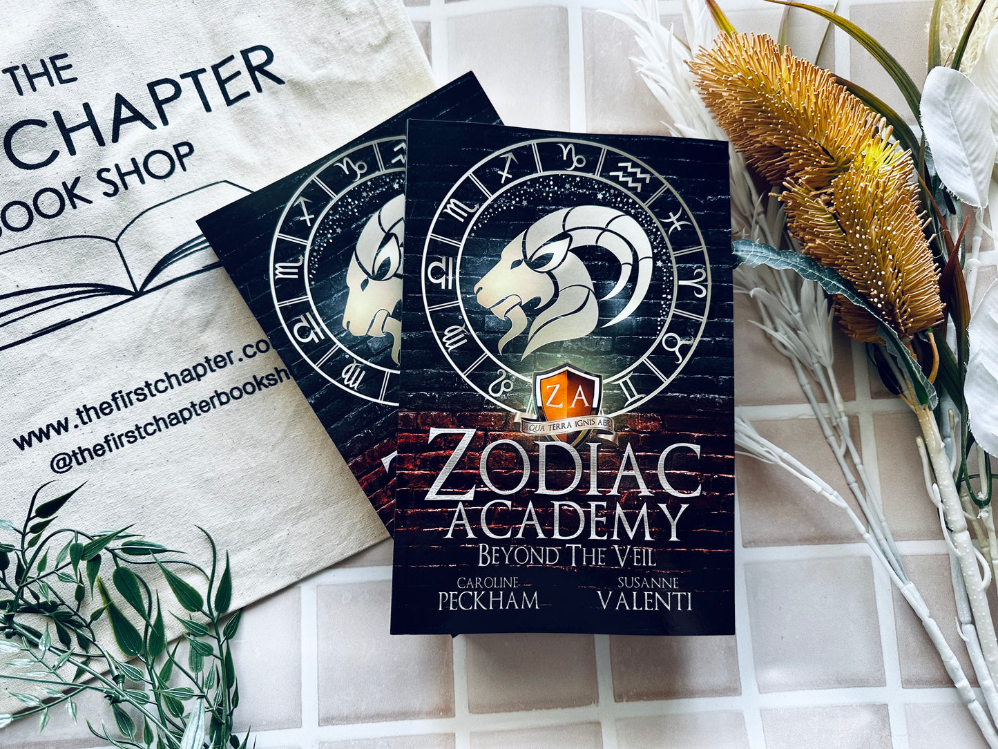 Zodiac Academy Beyond the Veil by Caroline Peckham and Susanne Valenti (8.5)