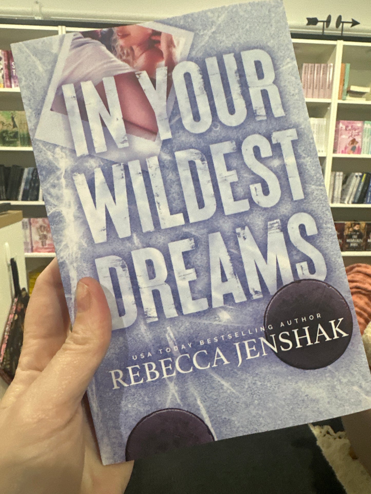 In your wildest dreams by Rebecca Jenshak