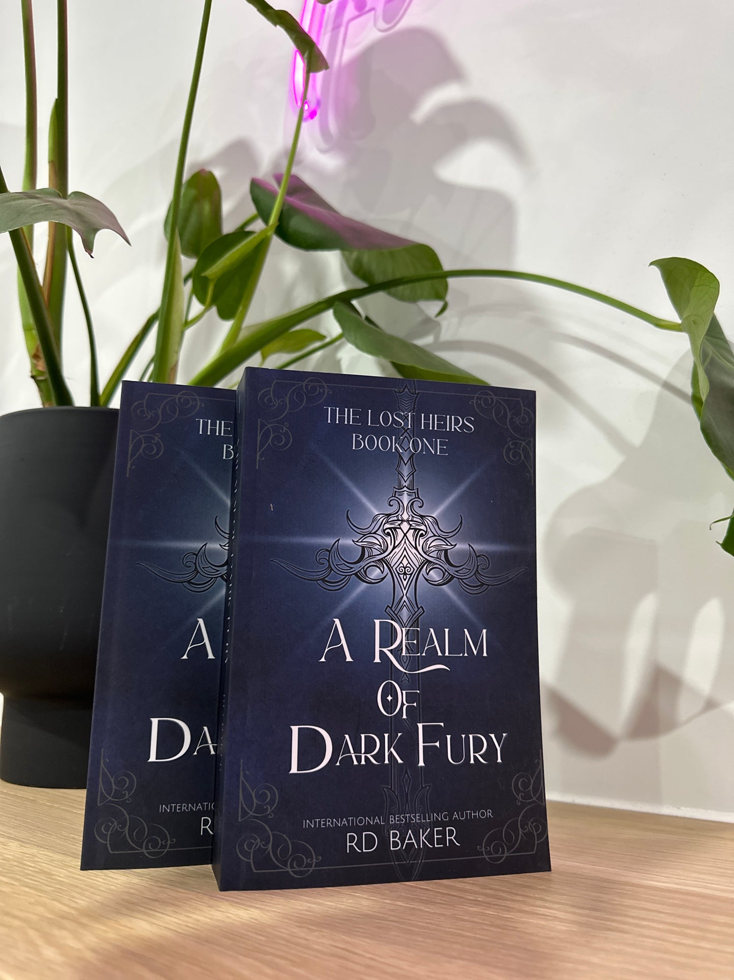 A Realm of Dark Fury by R.D. Baker