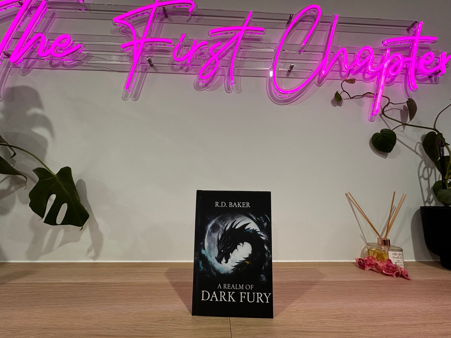 A Realm of Dark Fury by R.D. Baker