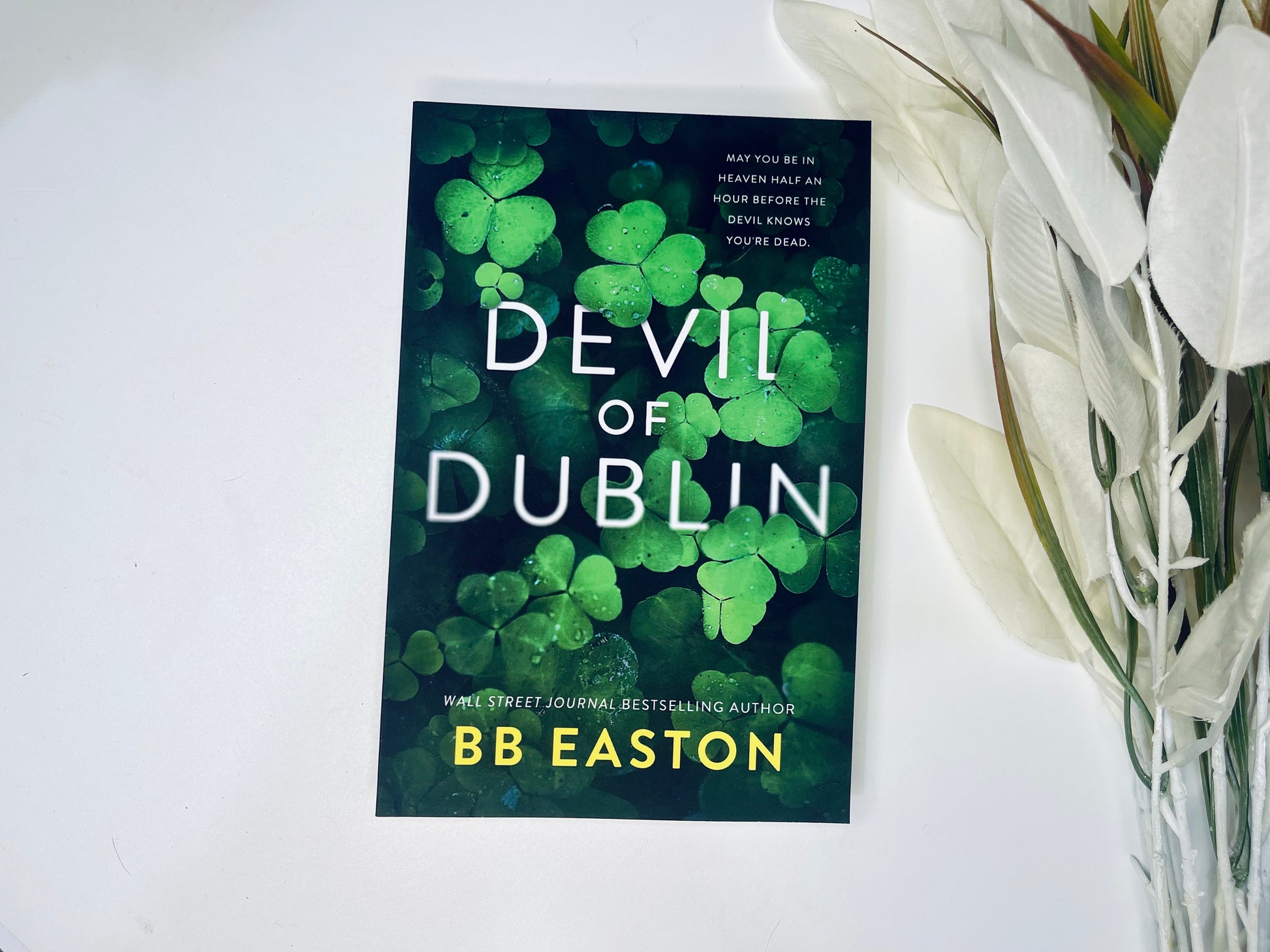 Devil Of Dublin by BB Easton – The First Chapter