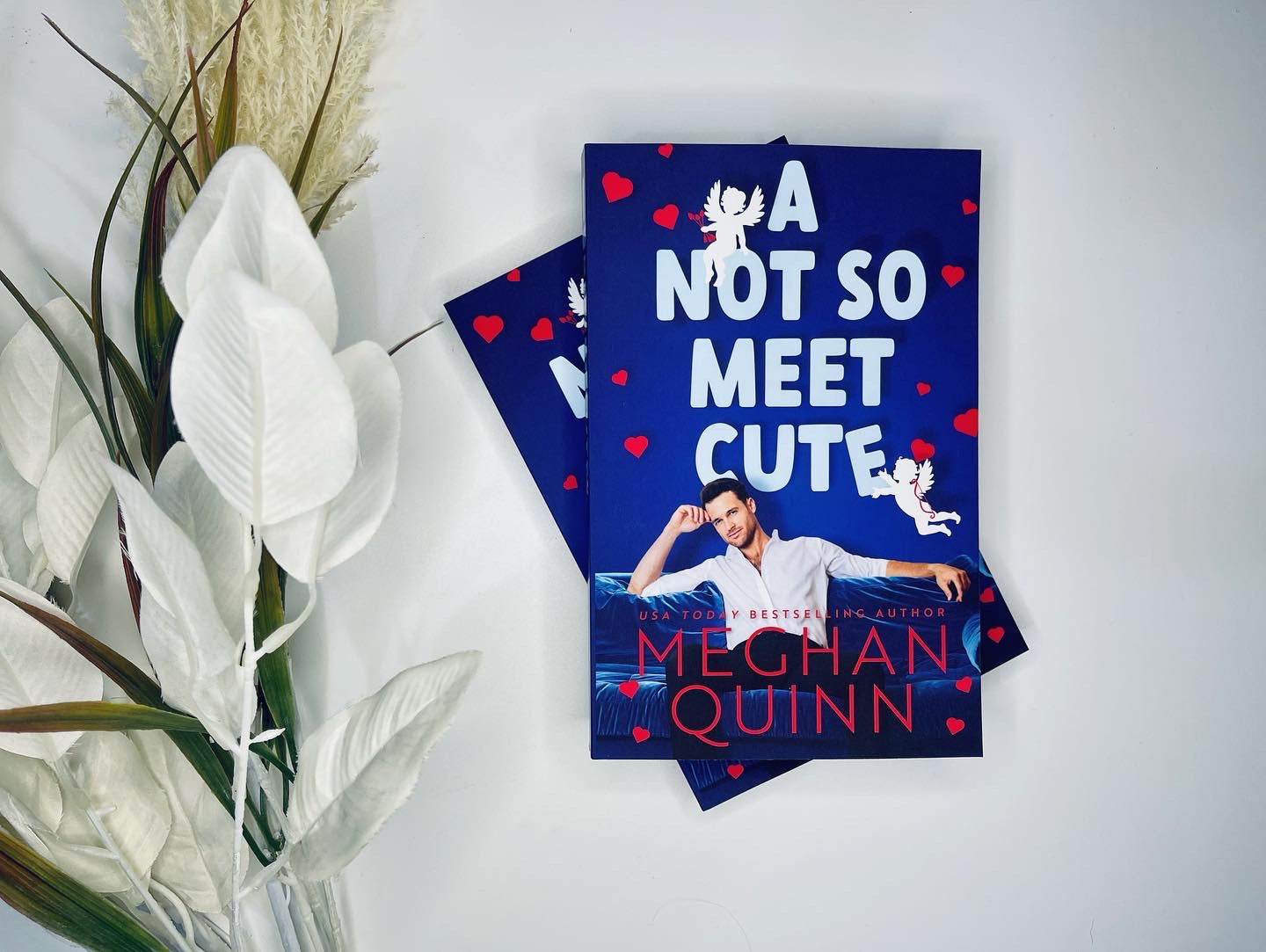 A Not So Meet Cute by Meghan Quinn