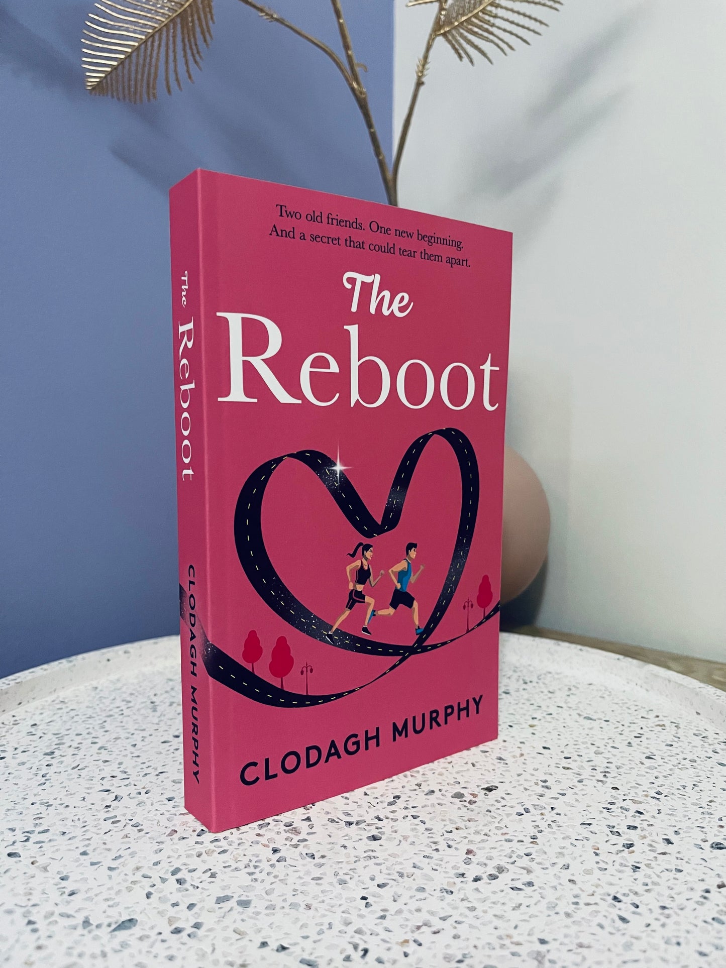 The Reboot by Clodagh Murphy