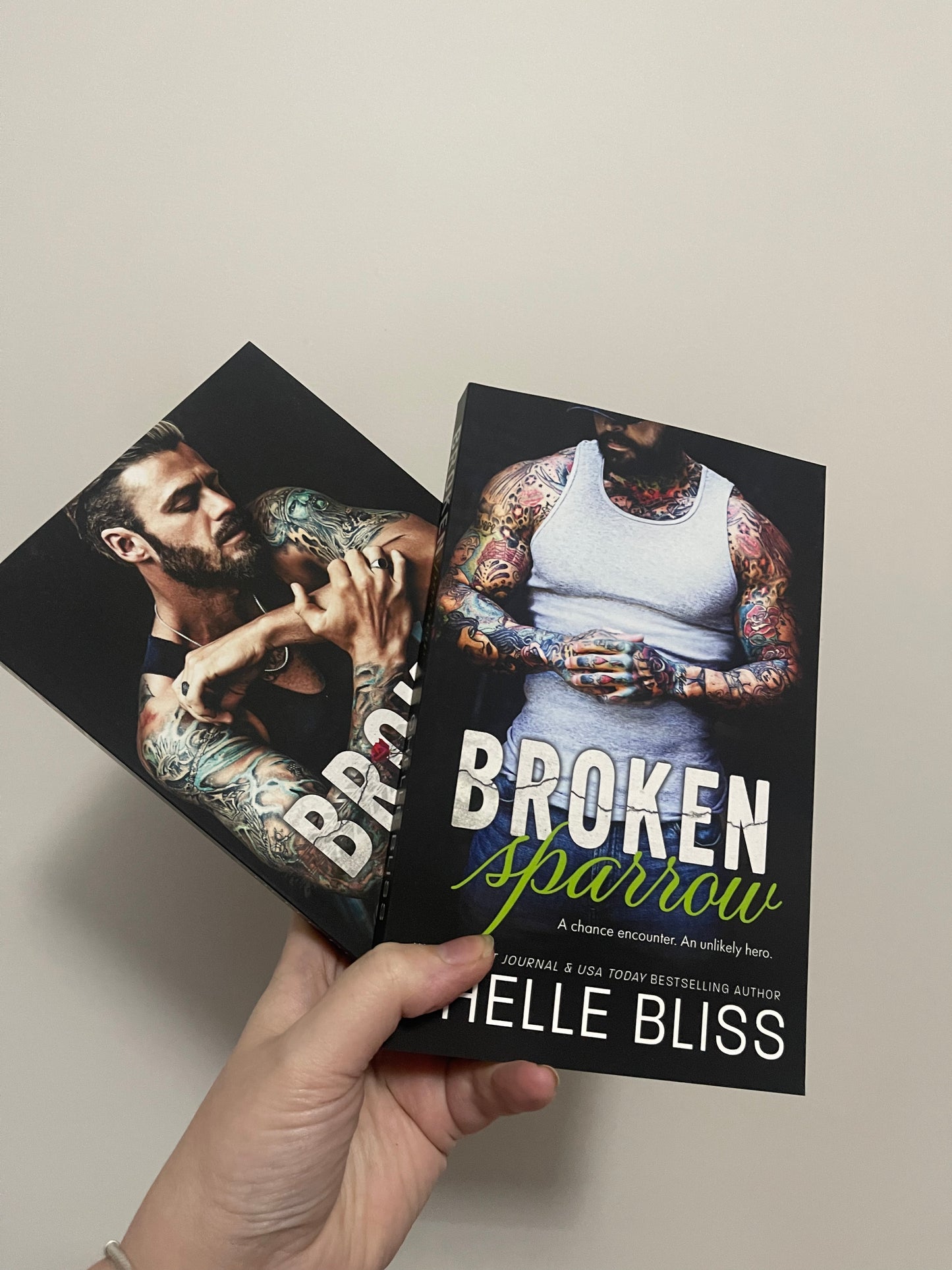 Broken Dove & Broken Sparrow by Chelle Bliss