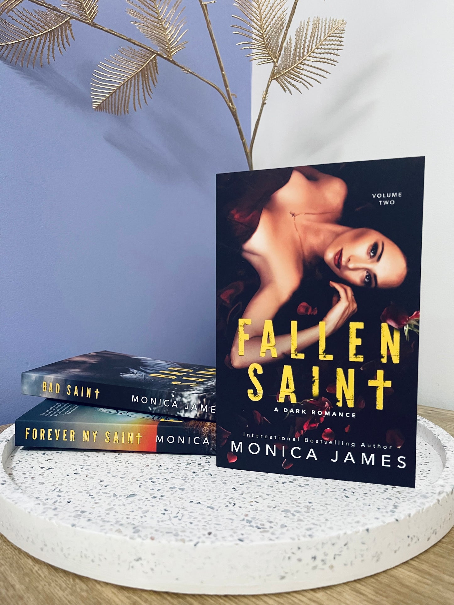 Fallen Saint by Monica James (book 2)