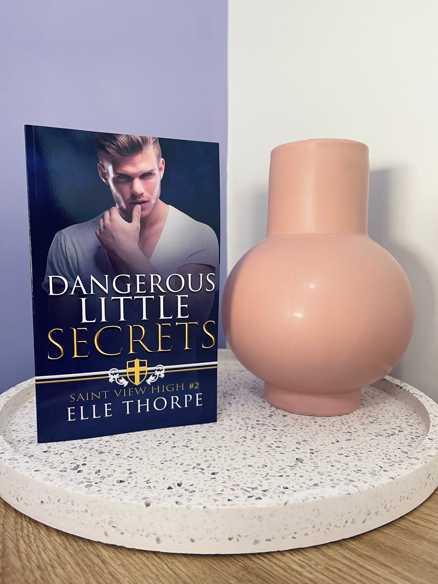 Dangerous Little Secrets by Elle Thorpe (A Reverse Harem Bully Romance) (Saint View High Book 2)