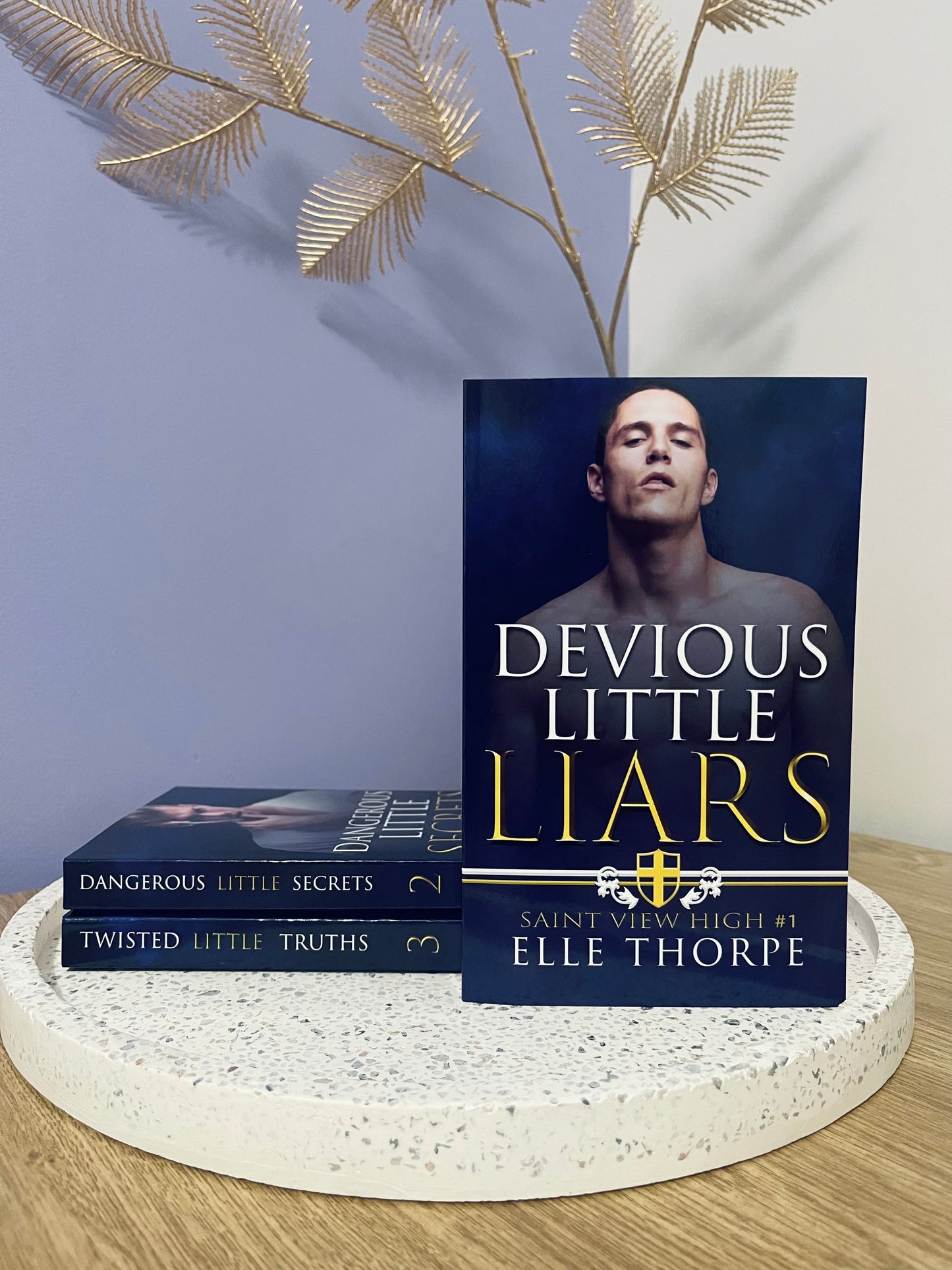 Devious Little Liars by Elle Thorpe (A Reverse Harem Bully Romance) (Saint View High book #1)