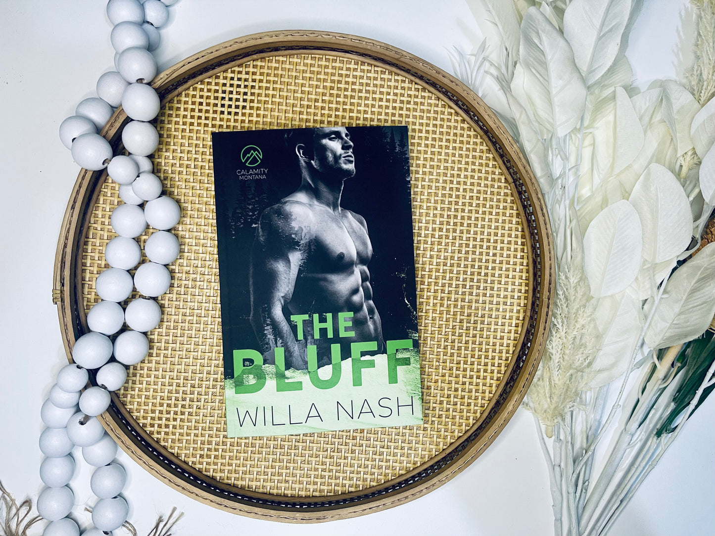 The Bluff, The Bribe or The Baller by Willa Nash Original Covers