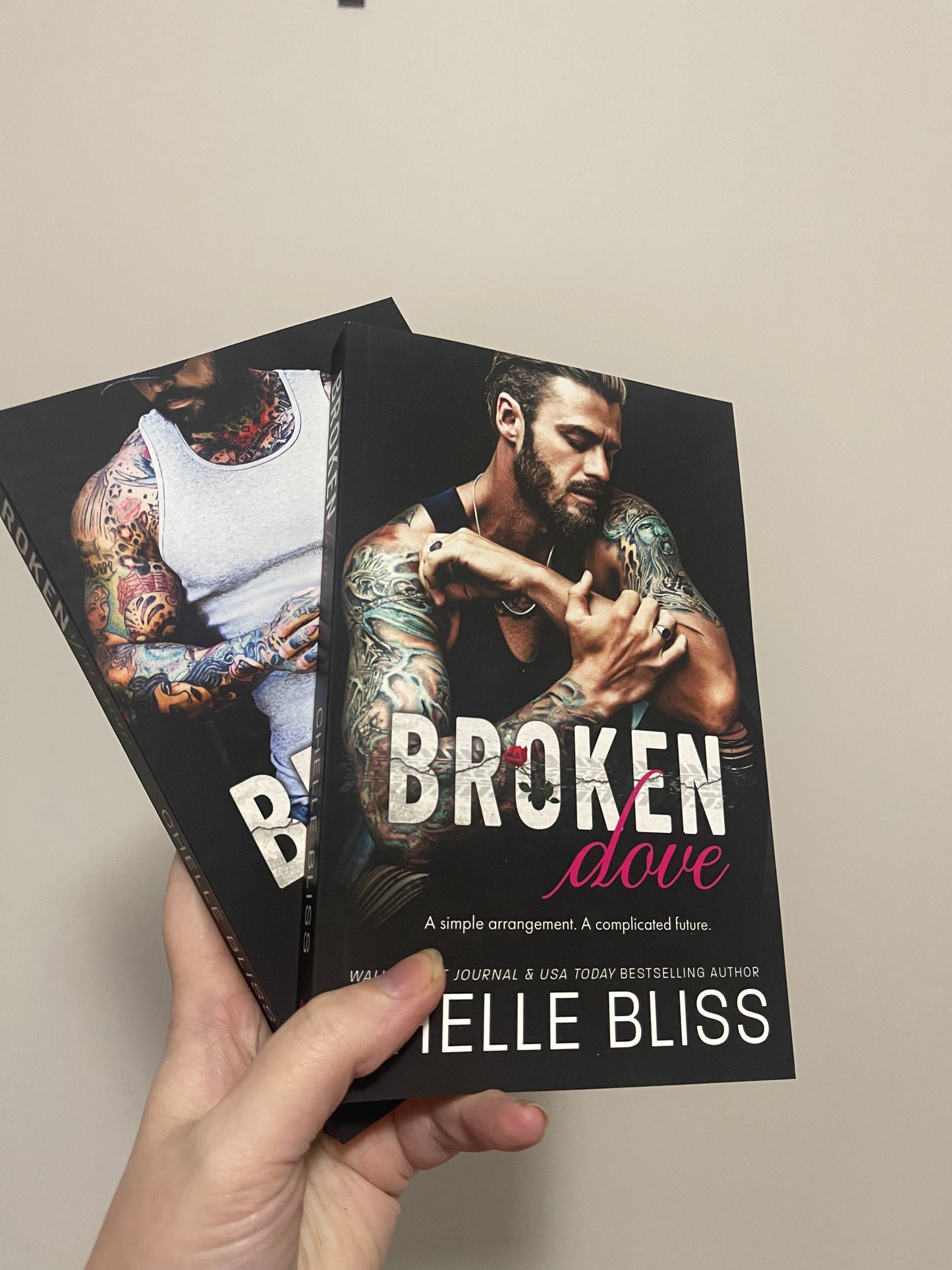 Broken Dove & Broken Sparrow by Chelle Bliss