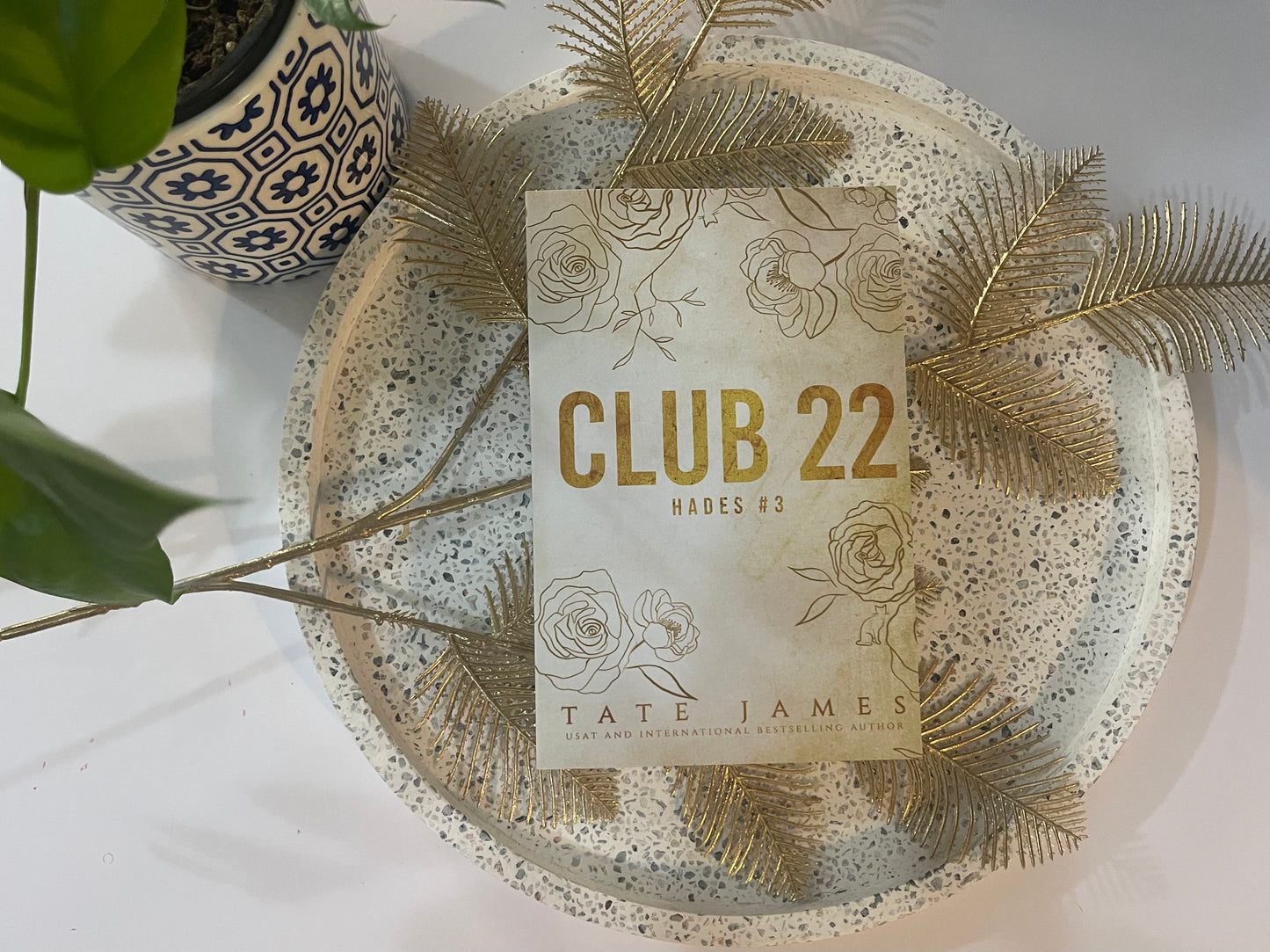 Club 22 by Tate James(Hades #3)